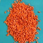 Gambie : 1 590 pilules d’ecstasy découvertes dans une prothèse de jambe