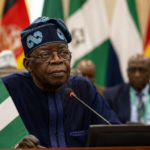 Xénophobie en Afrique du Sud : le Nigeria appelle l&rsquo;Union africaine à une réponse continentale