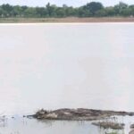 Pô : un quadragénaire porté disparu après une noyade dans le barrage de Kapro