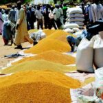 Niger : le prix du mil et du sorgho amorce une baisse sur les marchés