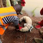 Fada N&rsquo;Gourma : un crocodile capturé dans un cabaret