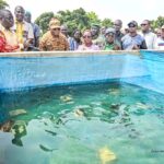 Burkina Faso : Serval Aqua Gold, un acteur clé de l’approvisionnement en alevins pour booster la pisciculture
